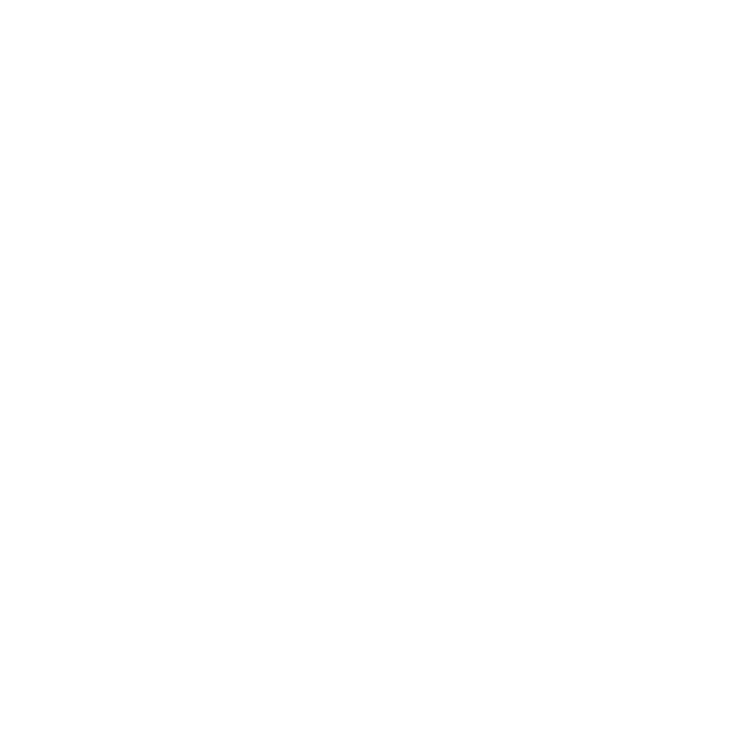 Nicki Pau Preto, fantasy author